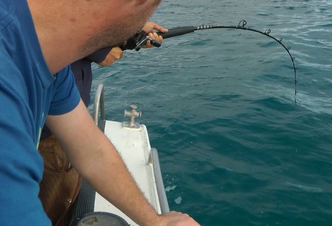 Wędkowanie w Australii -To był rekin
