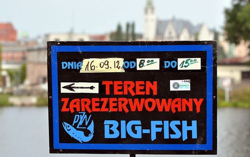 Big Fish Szczecin