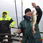 Dorsz Bałtycki wyłowiony z&nbsp;Bałtyku na&nbsp;kutrze