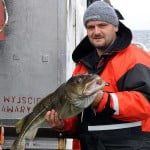 Prezentacja złowionego dorsza na&nbsp;Bałtyku