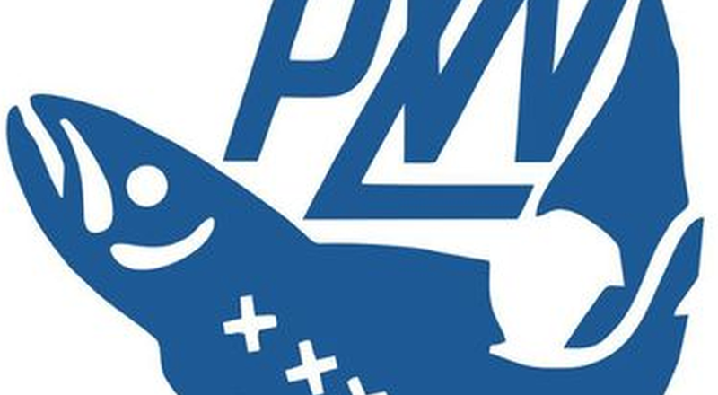 Logo PZW 800 - ZPW