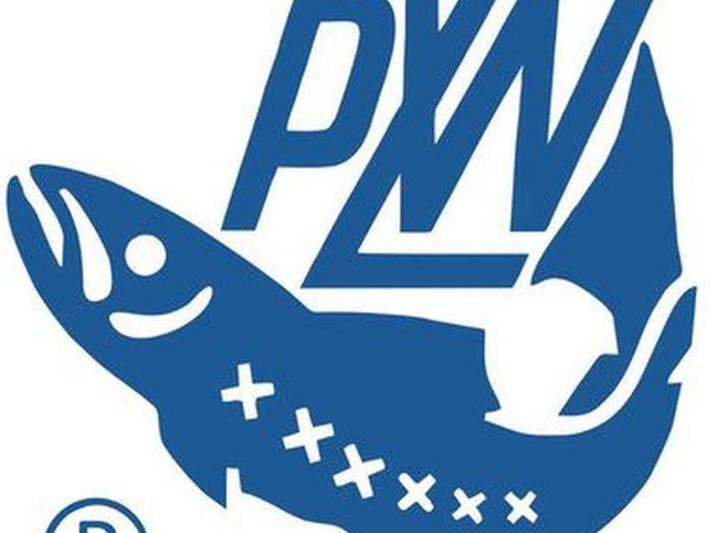 Logo PZW 800 - ZPW