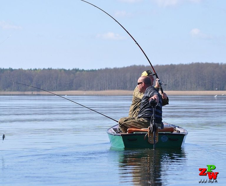 Zezwolenie Jezioro Wicko