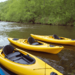 Spływ kajaki Ina