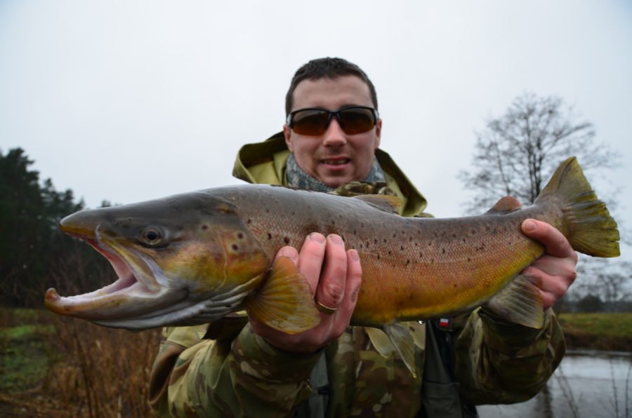 Wzmocnienie ochrony dzikiego tarła łososia i troci wędrownej w północno zachodniej Polsce