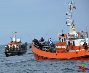 Feederowe Indywidualne Mistrzostwa OPZW Szczecin 2021