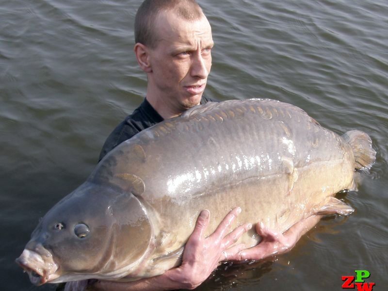 Hubert Świątek karpiowy rekord Polski 32,25 kg!