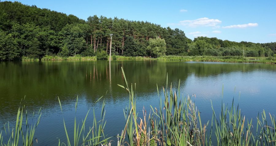 Zezwolenie Jezierzyce – Stawy w Dolinie Płoni