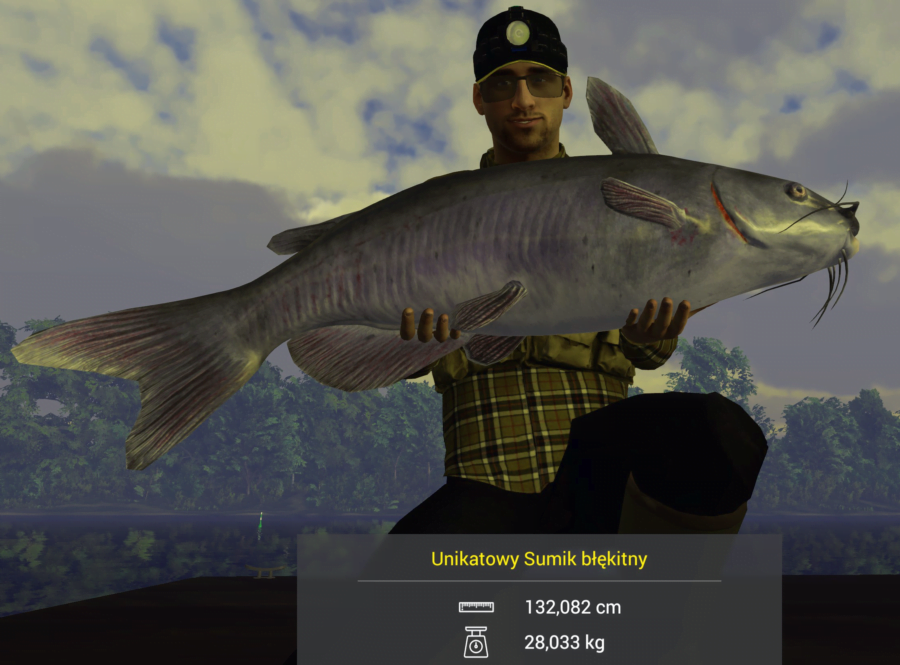 Unikatowy sumik błękitny