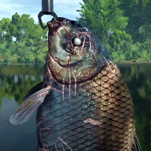 Majówka Pełna Przygód: Wędkarstwo i&nbsp;Grill!