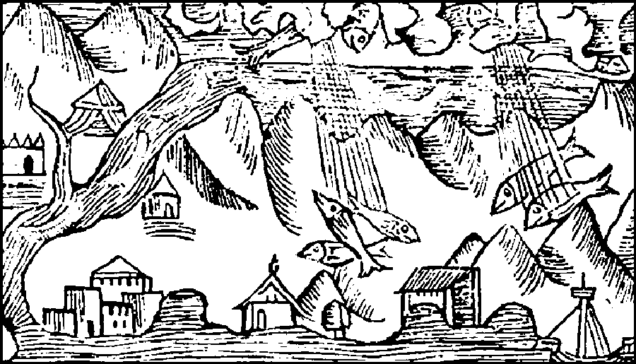 Rycina Olausa Magnusa z 1555 roku przedstawiająca deszcz ryb / źródło: Wikipedia