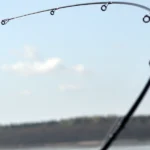 Polska Łowiska Prywatne