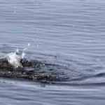 Błędy popełniane podczas łowienia: