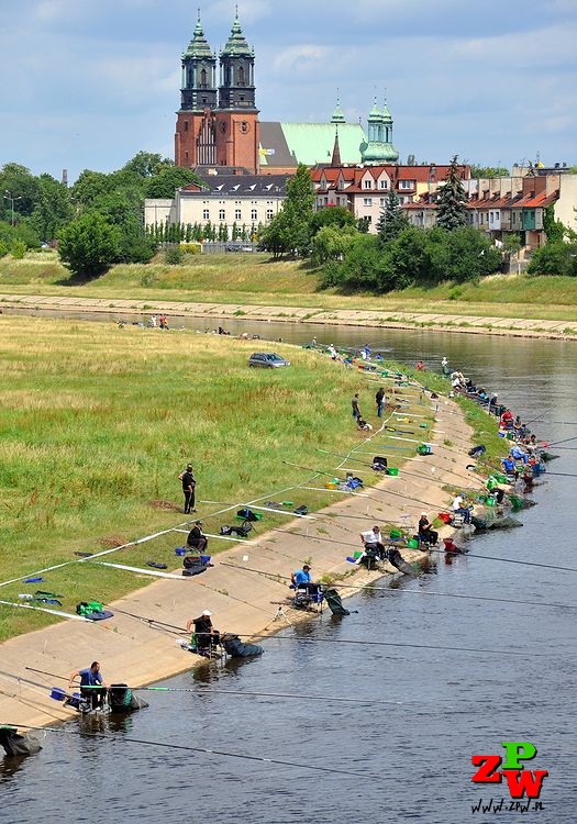 Poznań 2011 TM