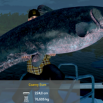 Czarny Sum Jezioro Sander Baggersee