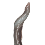 Zabójca Dżdżownic