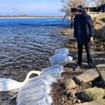 Wyrównywanie temperatury Zarybienia Okręg PZW Szczecin
