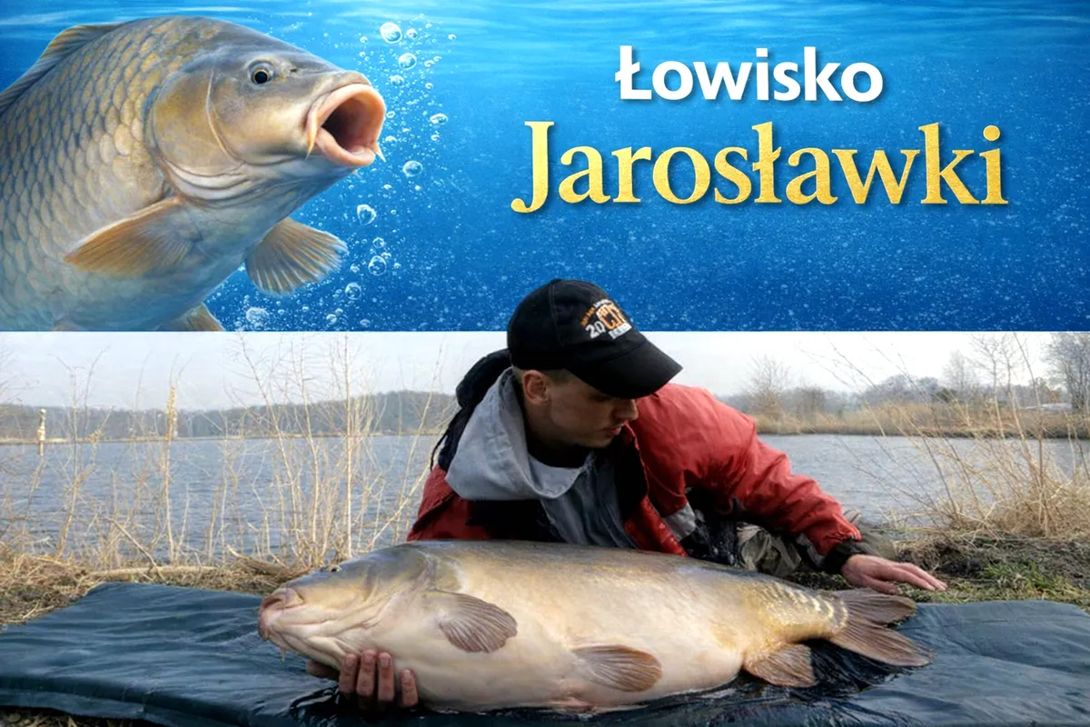 Łowisko Komercyjne Jarosławki
