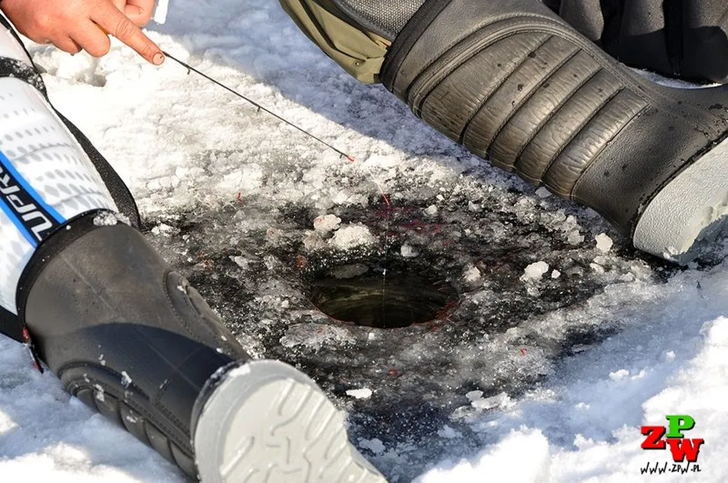 Twoja bałałajka jest nielegalna. Absurd