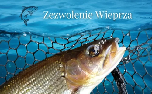 Zezwolenie rzeka Wieprza