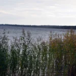 Miedwie jezioro Morzyczyn