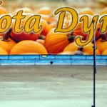 Złota Dynia 2026 Miedwie Kobylanka